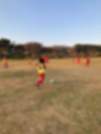 IMG-7991