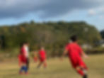 IMG-7982